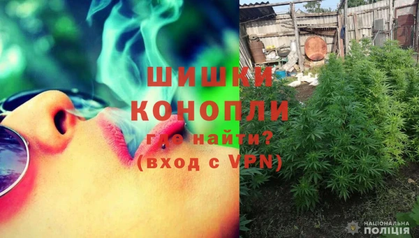 молекула духа Михайловск