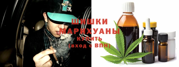 молекула духа Михайловск