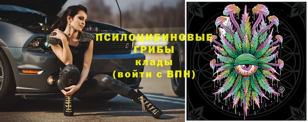 молекула духа Михайловск