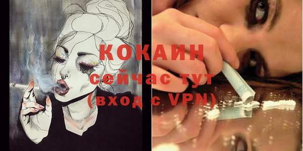 молекула духа Михайловск