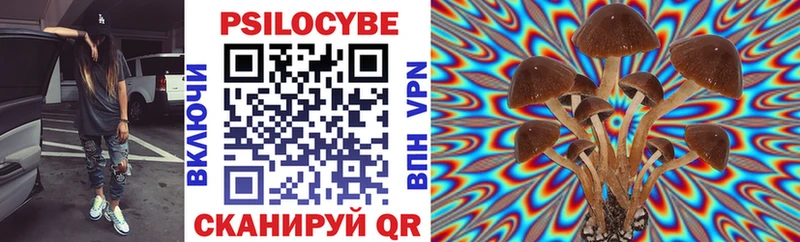 Галлюциногенные грибы MAGIC MUSHROOMS  Купить закладки  Североморск 