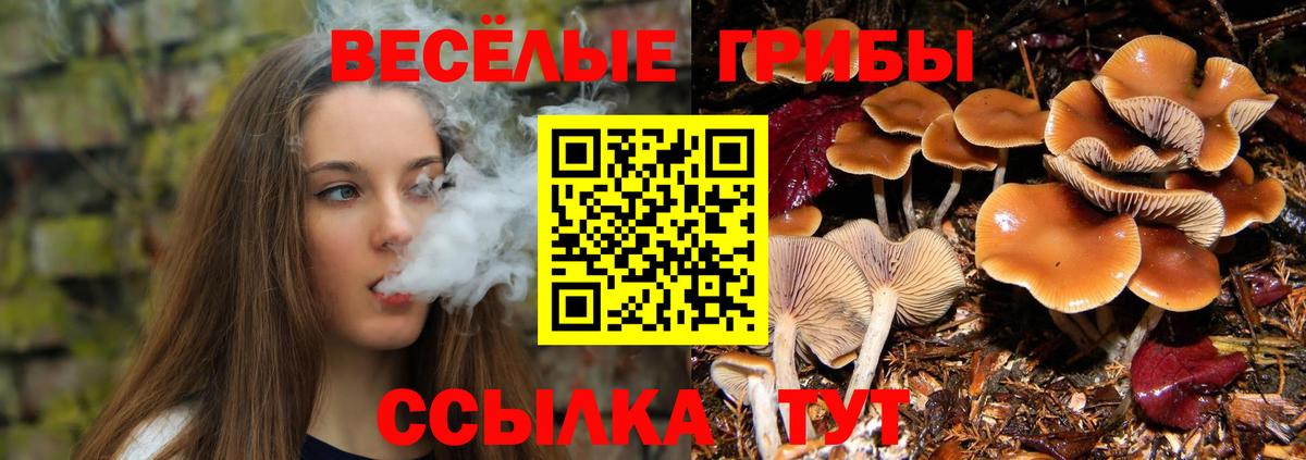 Псилоцибиновые грибы ЛСД Североморск