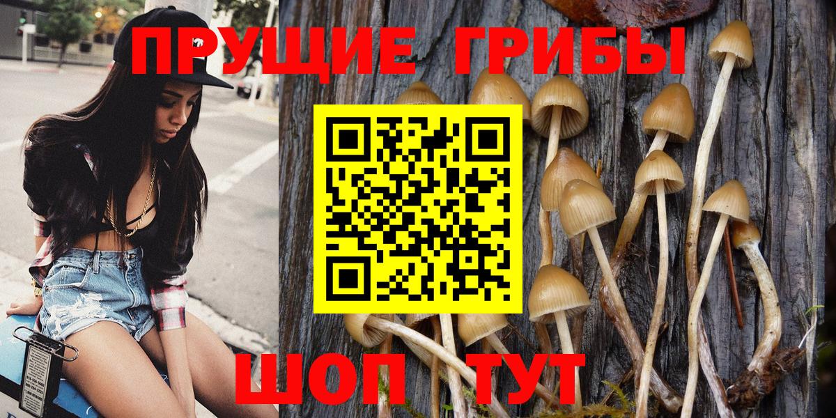 Псилоцибиновые грибы прущие грибы Североморск