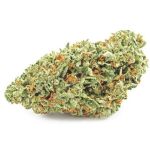 Шишки OG Kush  (Гидропоника, бошки) VHQ в Североморске